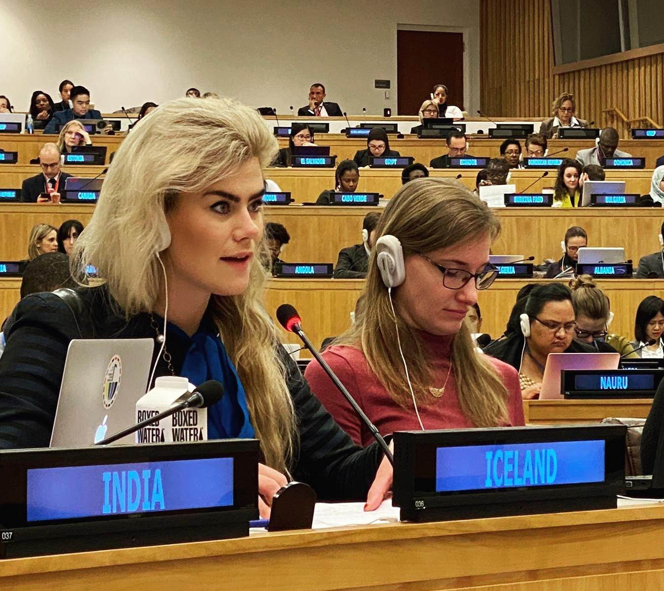 Statement to the Third Committee by Helen S. von Ernst, Second Secretary  - mynd