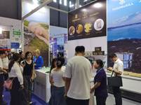 Icelandic representation at the Western China International Fair (WCIF) in Chengdu - mynd úr myndasafni númer 2