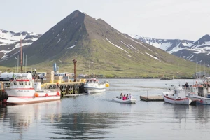 {title}