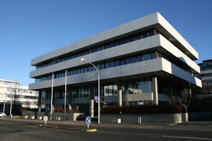 {title}