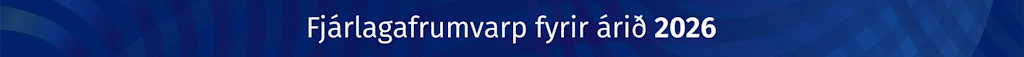 Fjármálaáætlun 2026-2030, kaflaskipting
