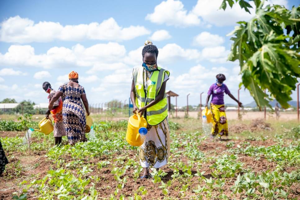 Ljósmynd: © UNHCR/Samuel Otieno - mynd