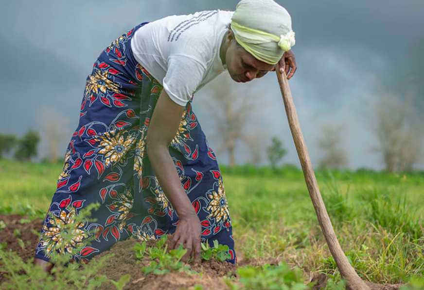 Ljósmynd: UN Women/Bennie Khanyizira - mynd