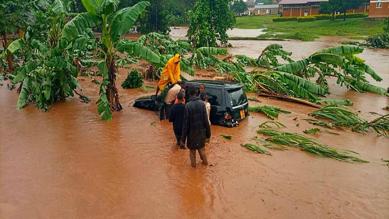 Sendiráðið í Kampala: Áhersla á mótvægisaðgerðir gegn loftslagsbreytingum - mynd