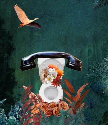 Samsett mynd: WorldToiletDay - mynd