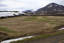 Kalið tún í Þingeyjarsýslu