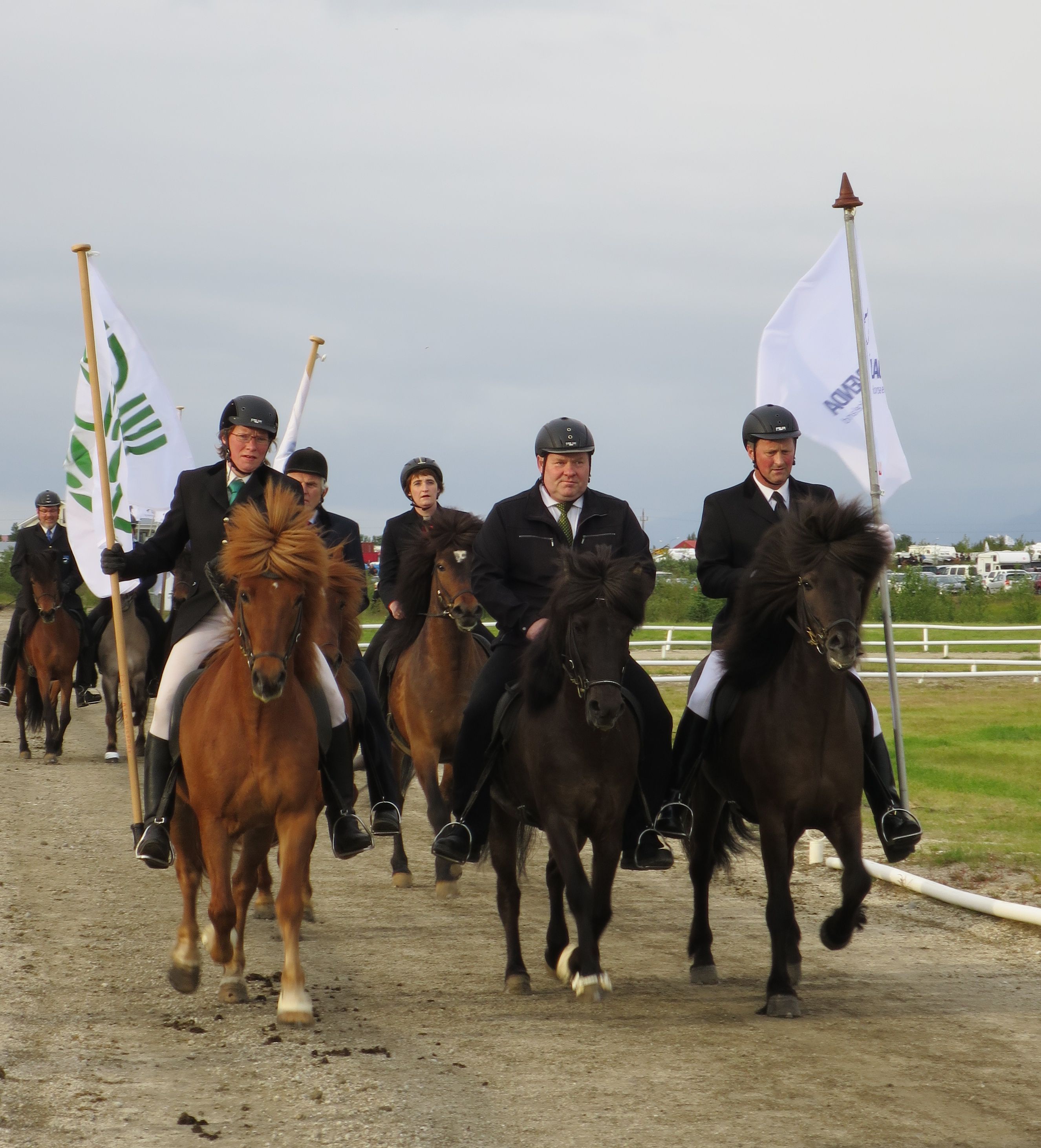 Landsmót 2014