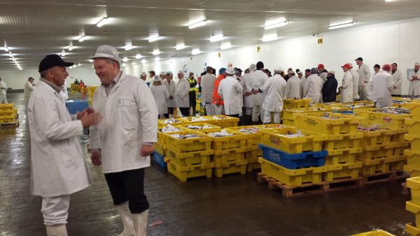 Á fiskmarkaðnum