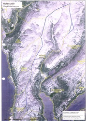 Hofsstaðir