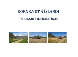 kornrækt á Íslandi