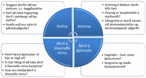 Stefna, atvinna, áhrif á ólaunaða vinnu, áhrif á þjónustu. Stefna: Tengjast áhrifin öðrum stefnum, s.s. byggðastefnu? Þarf að meta hugsanleg áhrif í samhengi við þá stefnu? Hvaða svið eru valin til aðhaldsaðgerða? Atvinna: Greining á fækkun stafa eftir kyni. Hvernig er kynjahlutfall á starfssviði? Ofangreint er borið saman við atvinnuleysistölur og atvinnuskapandi aðgerðir. Áhrif á ólaunaða vinnu: Hvert færist þjónusta ef hun er lögð af? Er hún líkleg til að hafa áhrif á ólaunaða vinnu kynjanna? Hver eru heildaráhrif á ólaunaða vinnu? Áhrif á þjónustu: Haghafar - hver notar þjónustuna? Kyngreina og skoða kynjasjónarmið. 