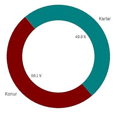 Graf-sem-synir-kynjaskiptingu-kjosenda-2016