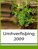 Umhverfisþing 2009