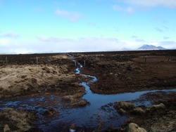 Afleiðing sinubrunans á Mýrum. Ljósm.: Guðmundur Guðjónsson