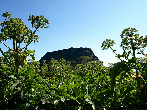 Hjörleifshöfði