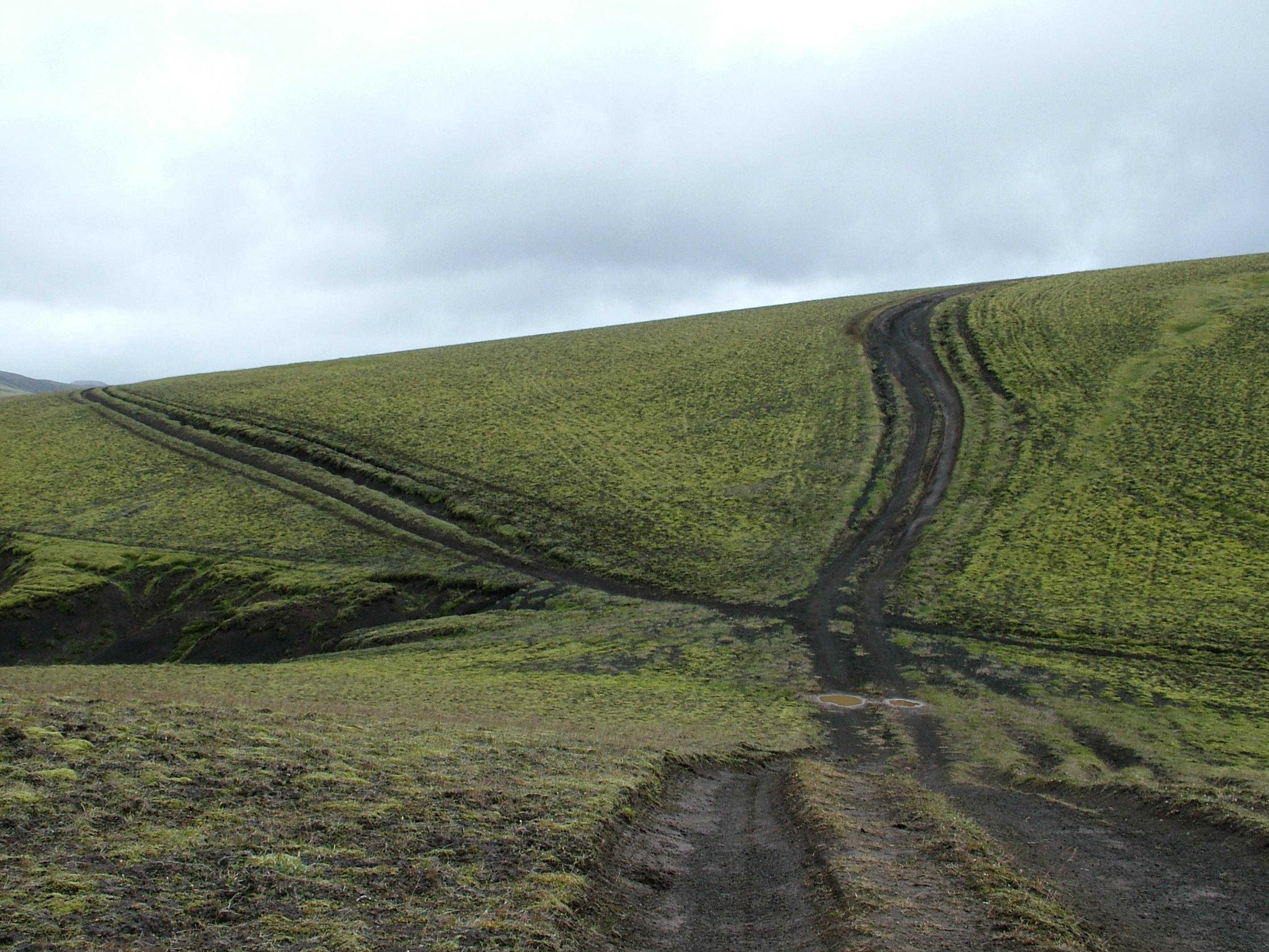 Gróðurskemmdir