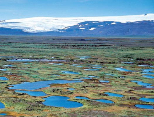 Þjórsárver
