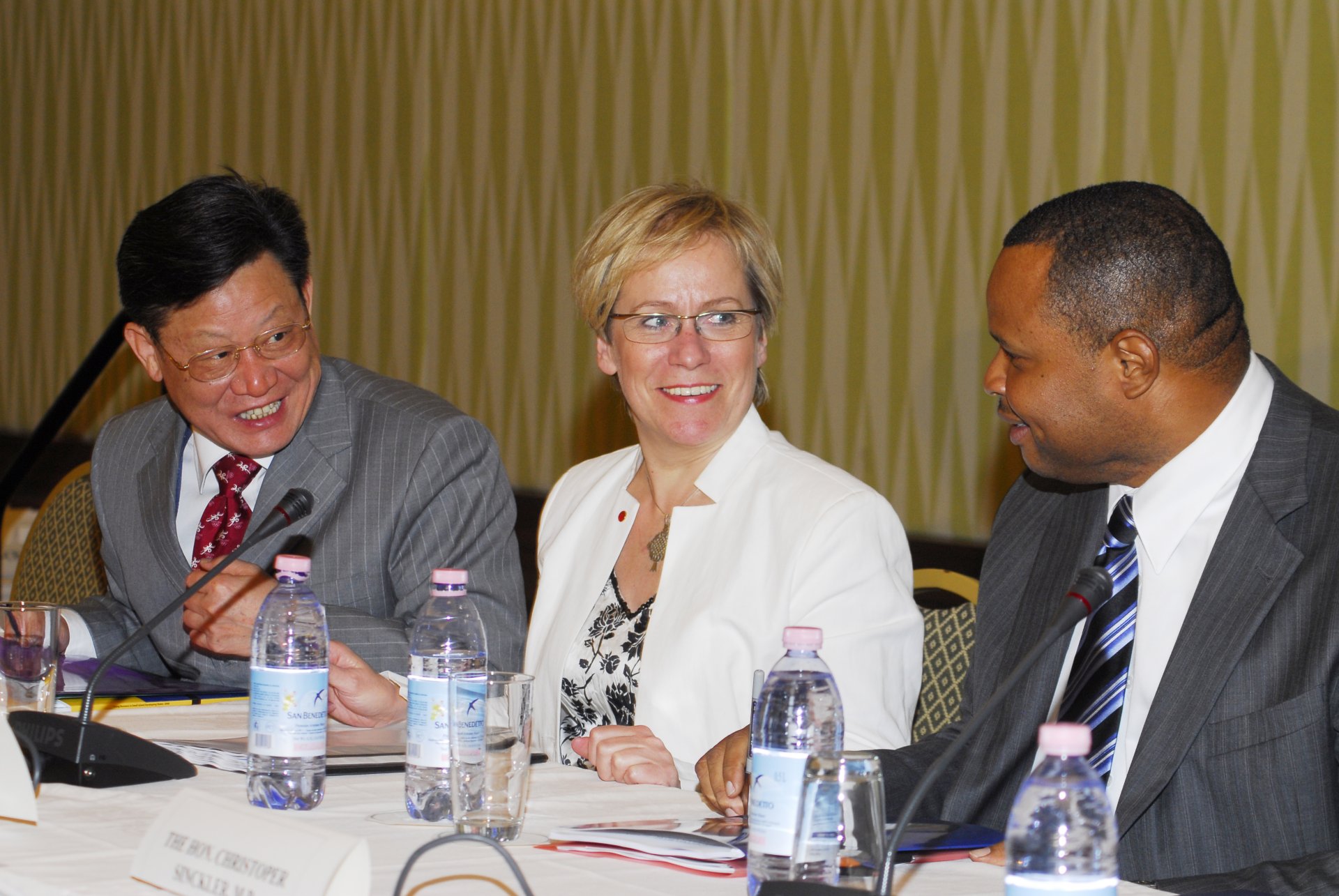 Mr. Sha Zukang, Under-Secretary of Economic and Social Affairs, Mrs. Ingibjörg Sólrún Gísladóttir, Minister for Foreign Affairs of Iceland, and Mr. Christopher Sinckler, Foreign Minister of Barbados