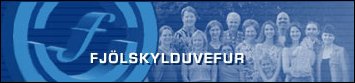 www.fjolskylda.is