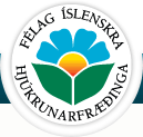 Félag íslenskra hjúkrunarfræðinga